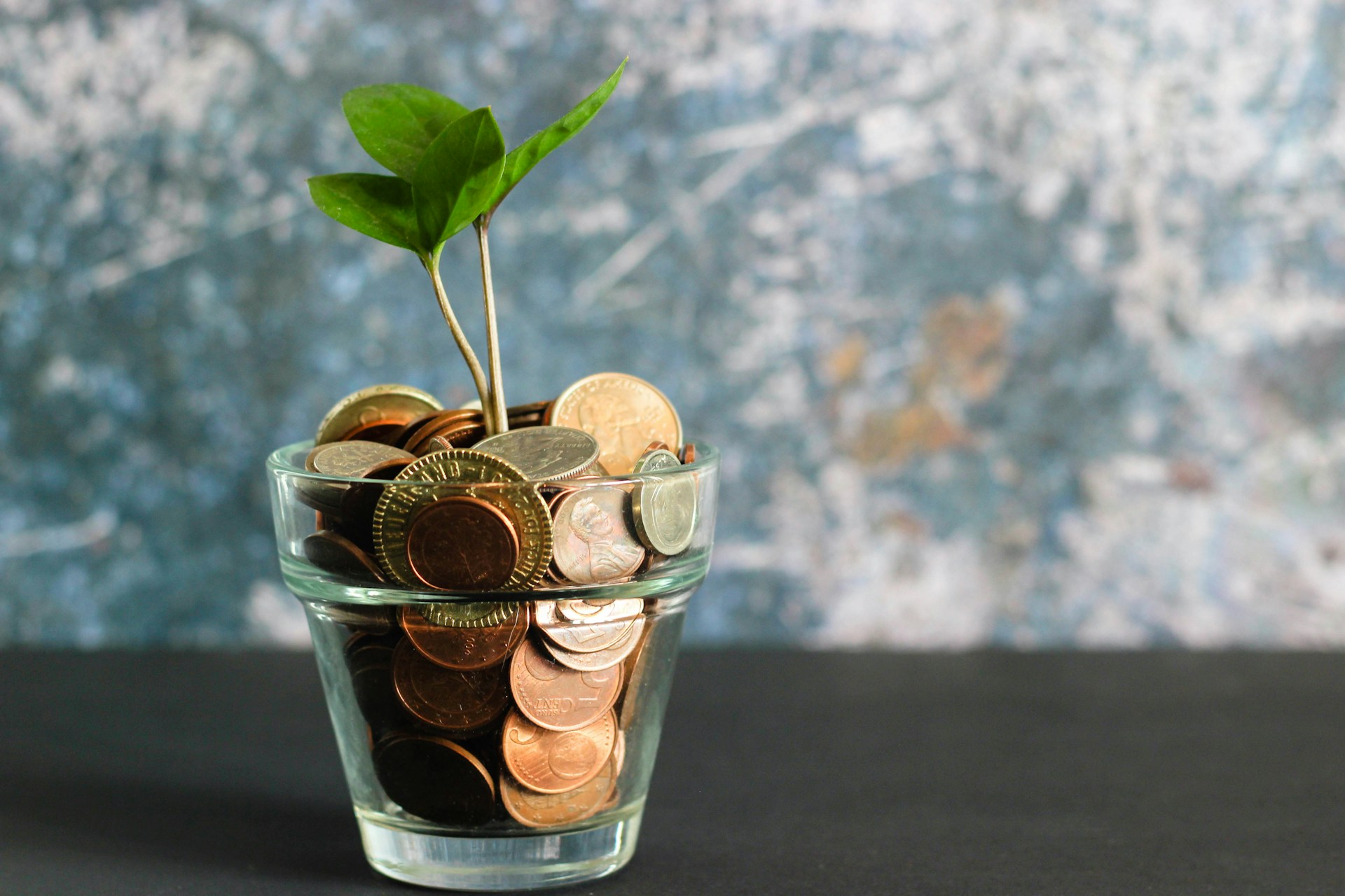 Nature and business merging, symbolizing Zeka Holding's commitment to sustainable growth